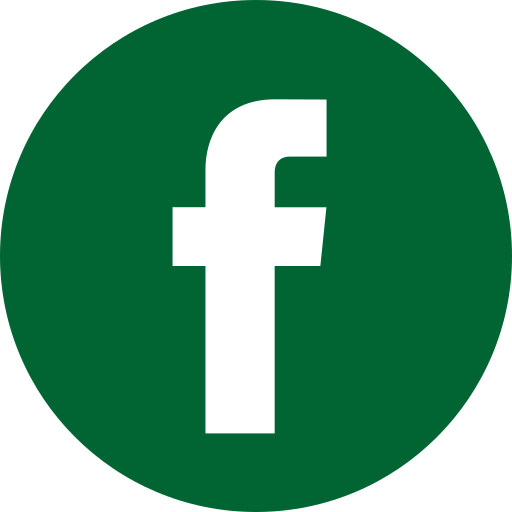 Fassadenreinigung 