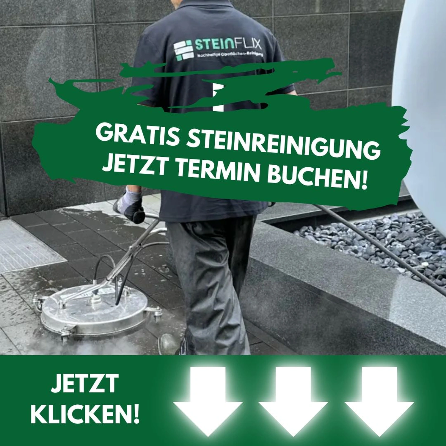 SteinFlix 